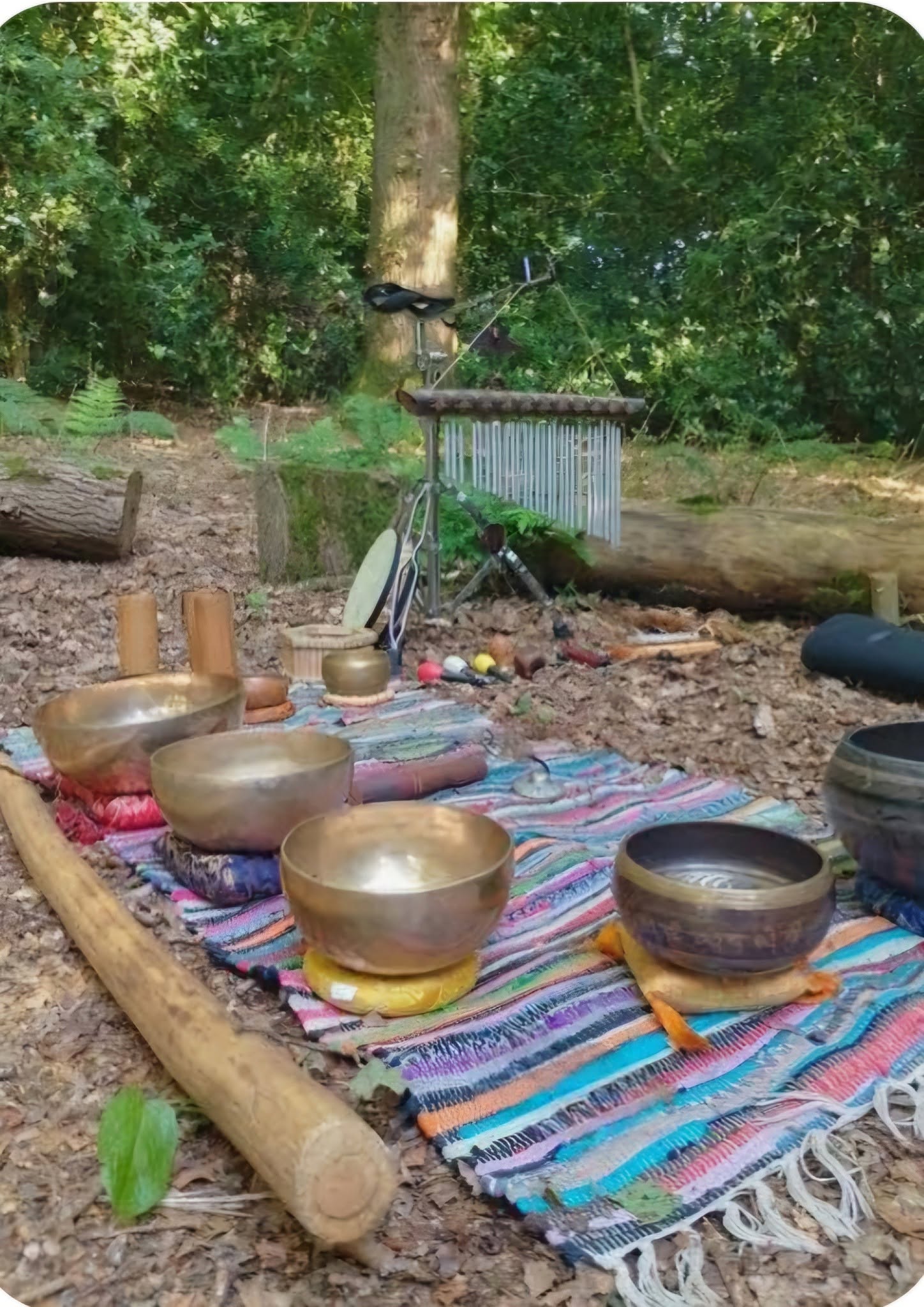 Sound Therapy & Meditation