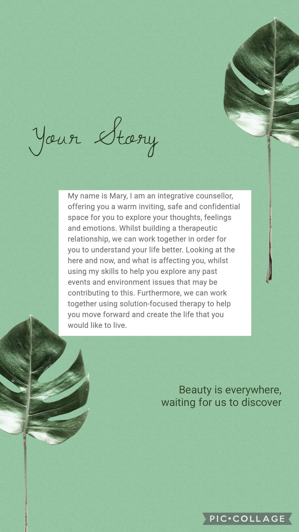 Meet Mary